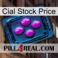 Cial Stock Price 04